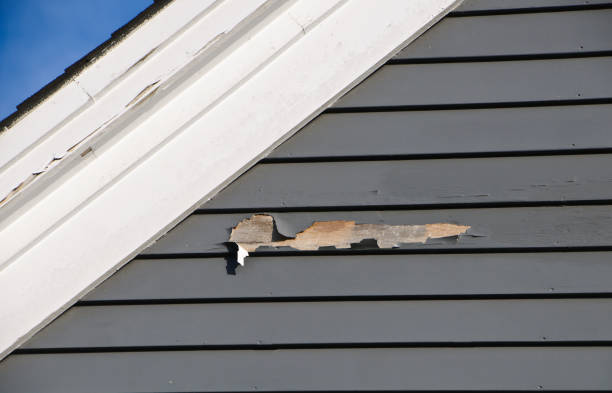 Best Siding Maintenance  in USA